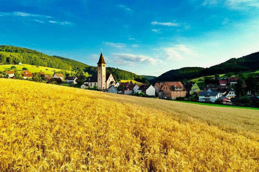 Vacation in the Black Forest Dörlinbach - Image 1