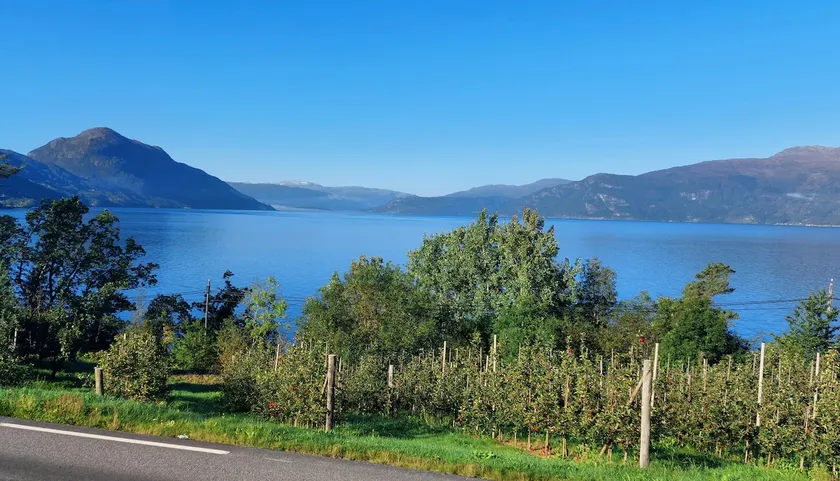 The yellow house by Hardangerfjorden - Image 1