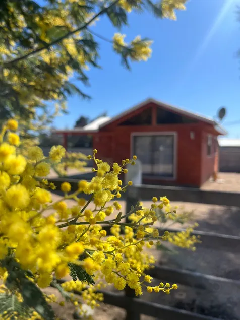 Cabin for 5 people - Image 1