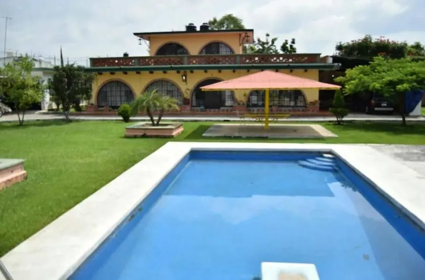Palm trees and garden - Image 1
