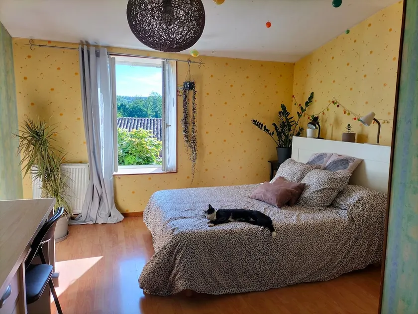 homestay access to the entire accommodation - Image 1