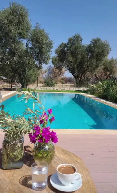 Villa with pool in Çeşme Germiyanda - Image 1