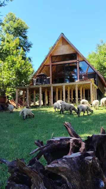 Beautiful panoramic country cabin - Image 1