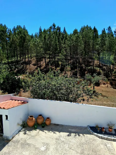 'Pinheiros Tranquilos', on site massage and menu - Image 1