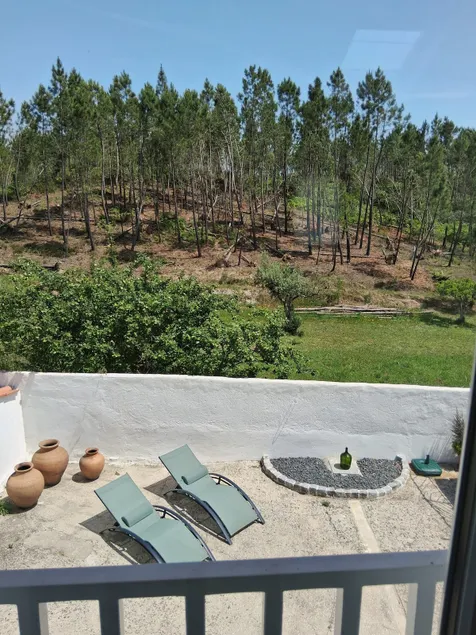 'Pinheiros Tranquilos', on site massage and menu - Image 1