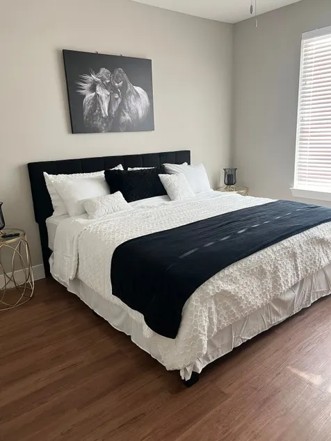 LUX-Longhorn Suite w/Garage + opt car rental - Image 1
