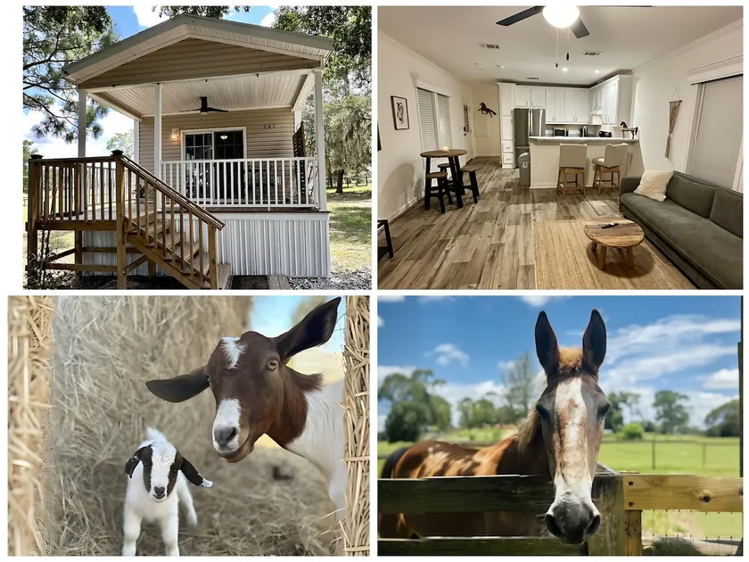 Hilltop Retreat - Image 1