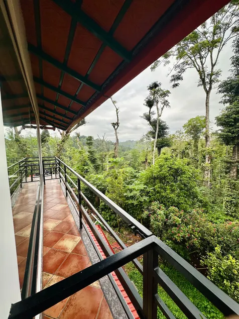 The Woods - Coorg - Image 1