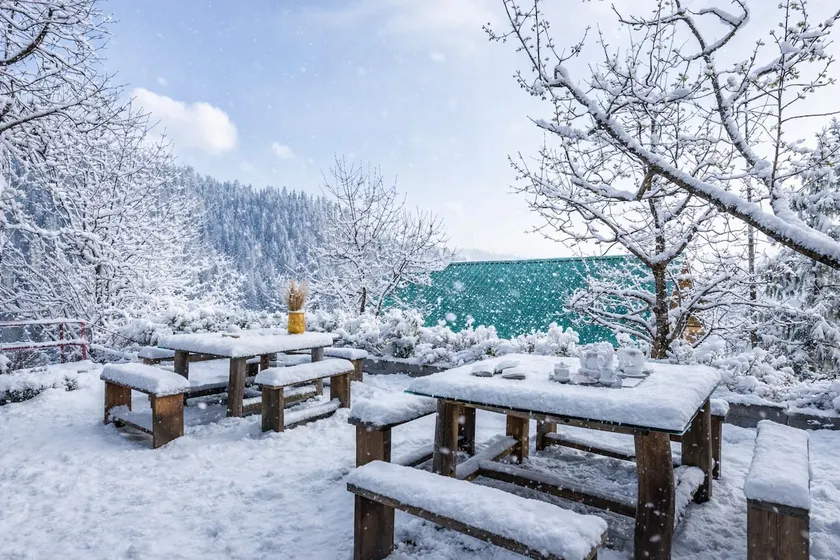 Serene Heights: Luxury Villa W/ Cottages & Sauna - Image 1
