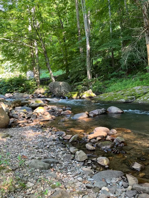 Rushing Creek Cabin - Image 1