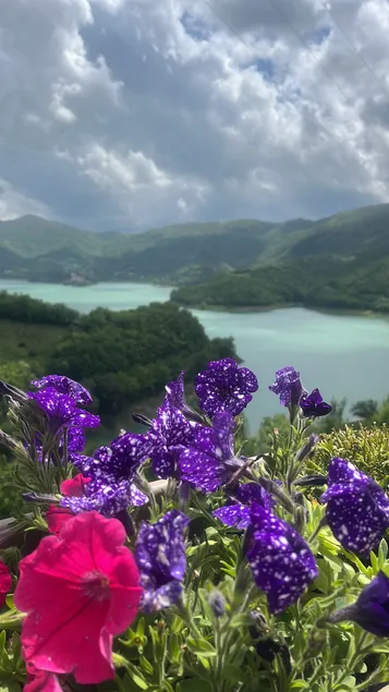 Paradise on the lake - Image 1