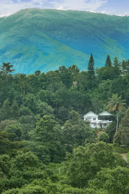 Cozy Retreat - 20 min to Munnar - Image 1