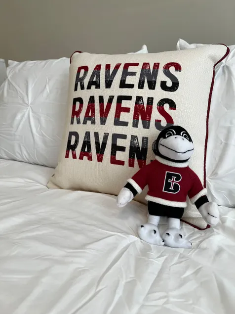 Benedictine College Themed Apartment in Atchison - Image 1