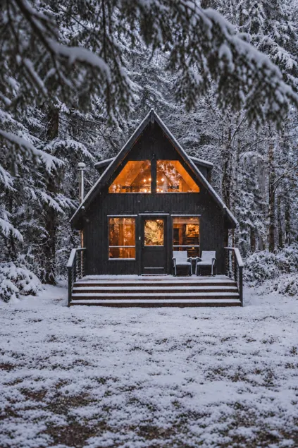 A-Frame w/ Hot Tub @ Mt Rainier & Nisqually River - Image 1