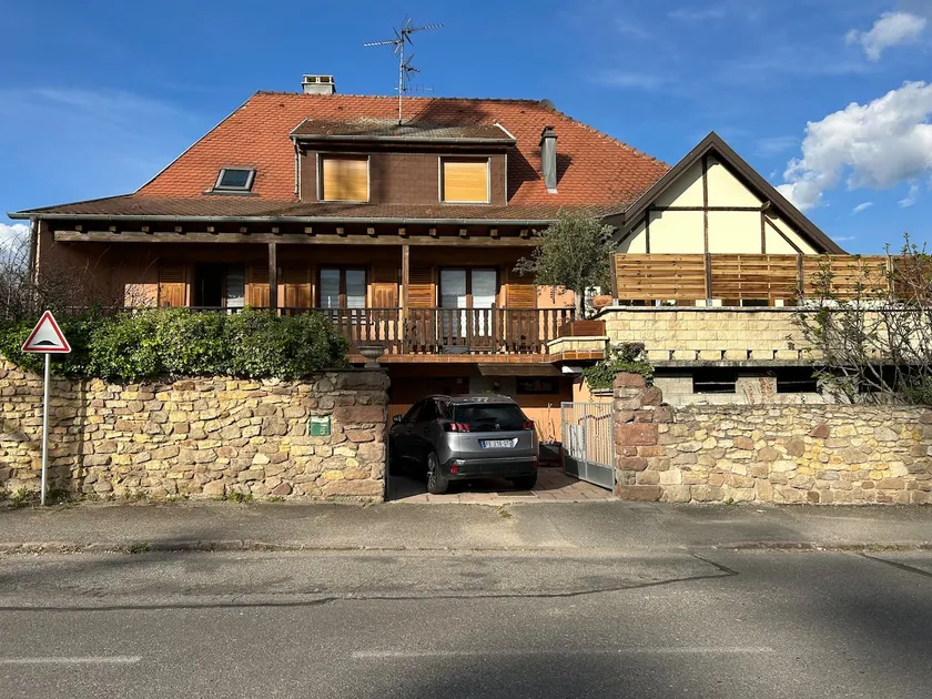 Apartment, detached house, vineyard. - Image 1