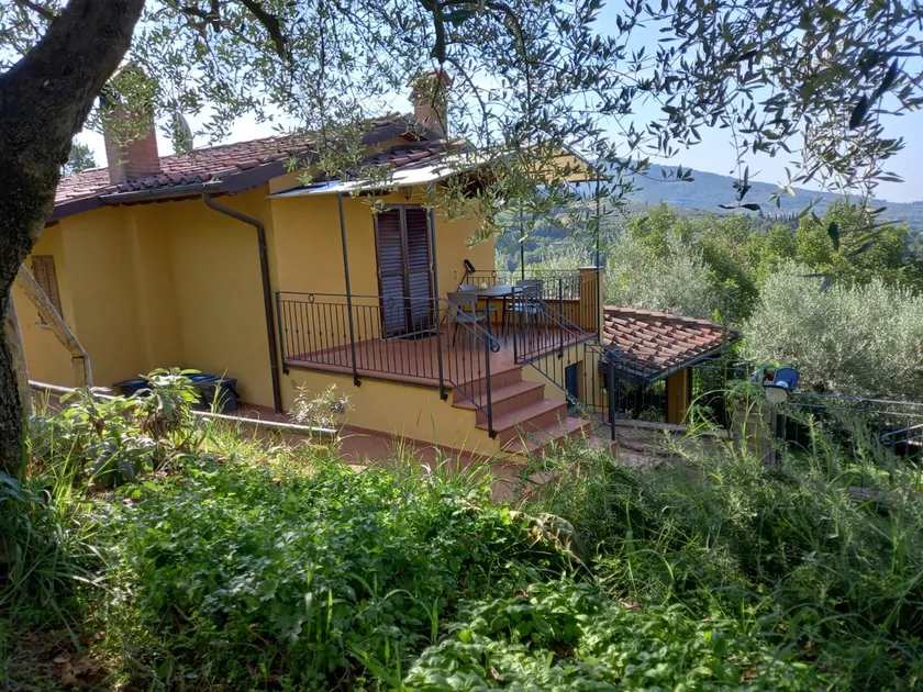 House among the olive trees - Image 1