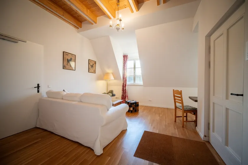 Appartment auf dem Schlosshof Döben - Image 1