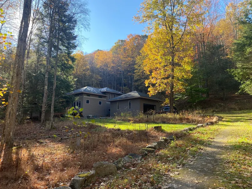 Modern Mountain Cabin - Canaan Valley/Dolly Sods - Image 1