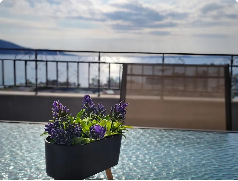 Best View - Image 1