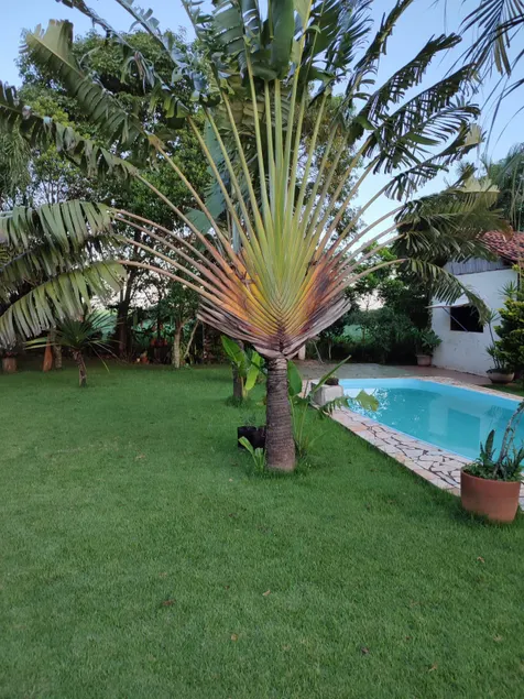 Recanto dos Plátanos (Banana Tree Nook) - Image 1