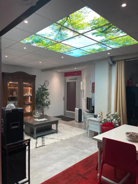Charming apartment in Maidieres + private garage - Image 1