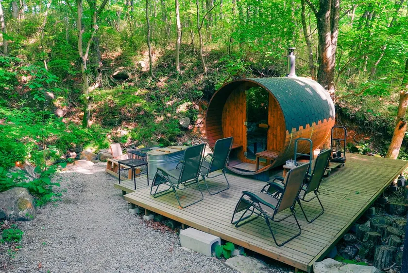 Wood-fired sauna rental | BBQ set included | Entire house rental in Nasu | nasu room - Image 1