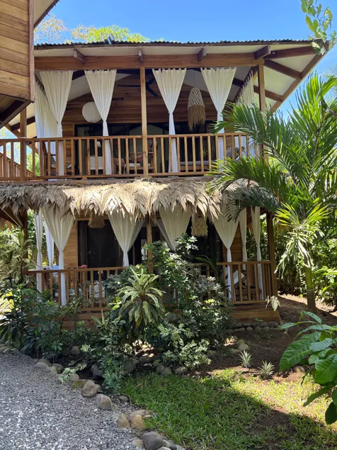 Mangovilla Caribe dogs welcome Apt. ground floor - Image 1