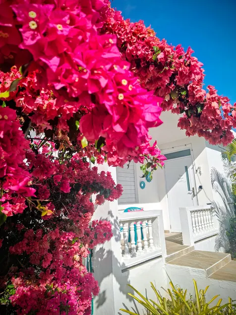 Jobos Nancy Inn Paradise - Image 1