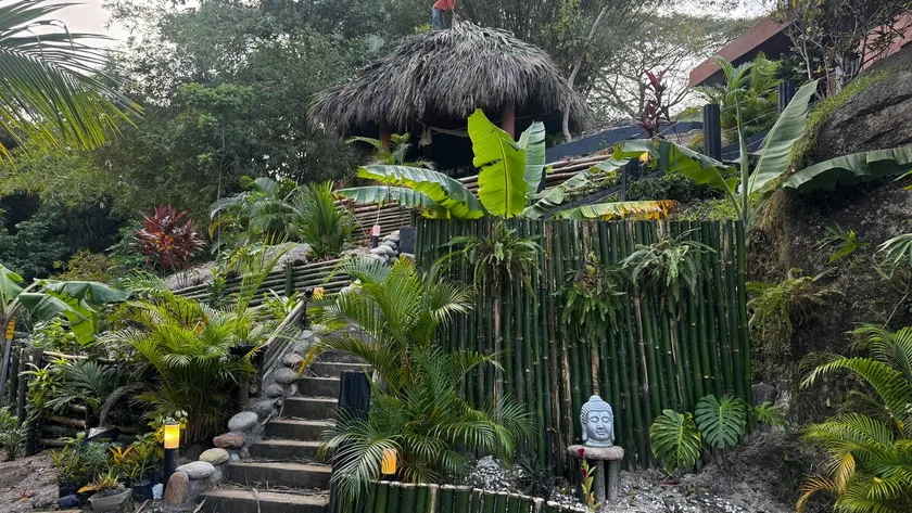 Green Sanctuary · Jungle Eco Retreat - Image 1