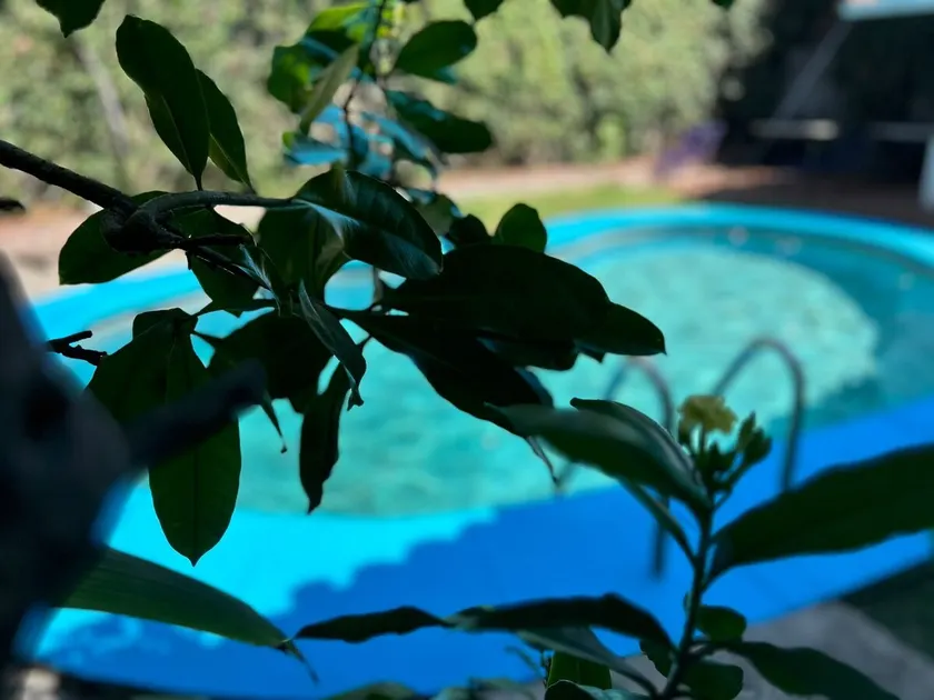Pool, Garden, Sun, barbecue, for Families-friends - Image 1