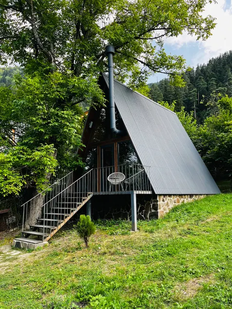 Wonderwood Borjomi Cottage - Image 1