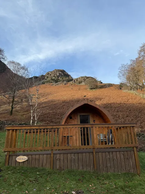 Low Wood - woodland glamping pod - Image 1