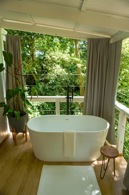 Casa Miguel Apt. Connection to Nature - Image 1