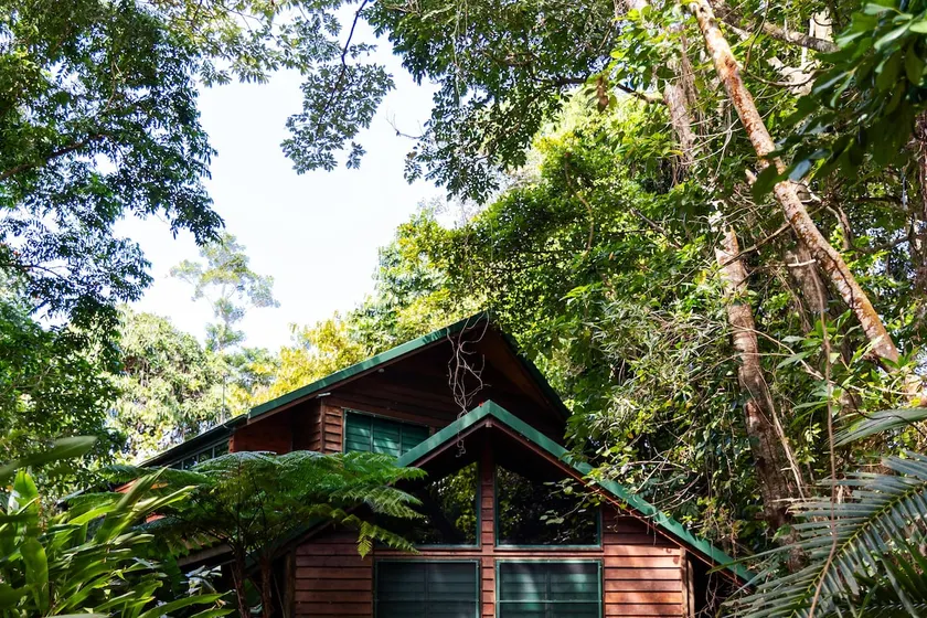 TreeTops by the Sea - Image 1