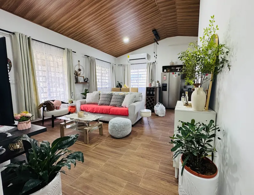 The house with the garden! - Image 1