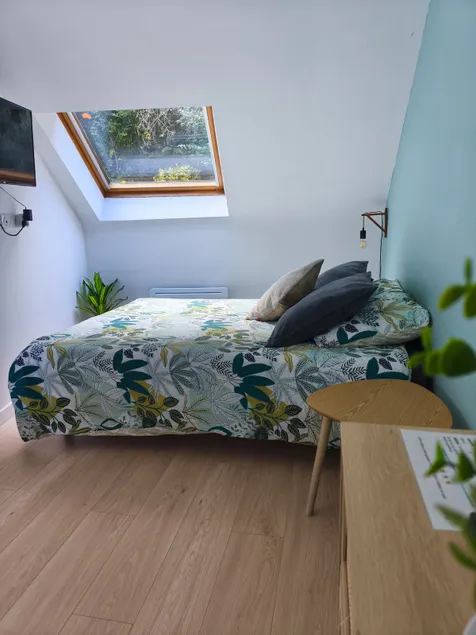 Cozy studio near the city center - Image 1