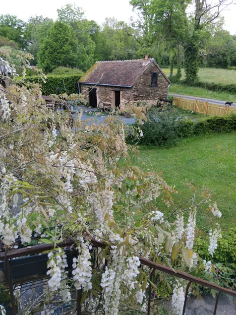 Studio per night - Image 1