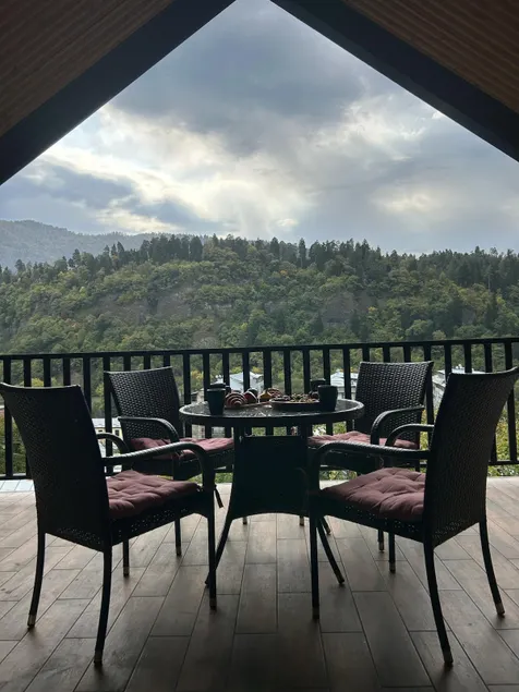 Loft in Borjomi with huge terrace, mountaint view. - Image 1