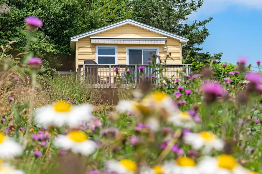 Wild Islands Seaside Cottage - Image 1