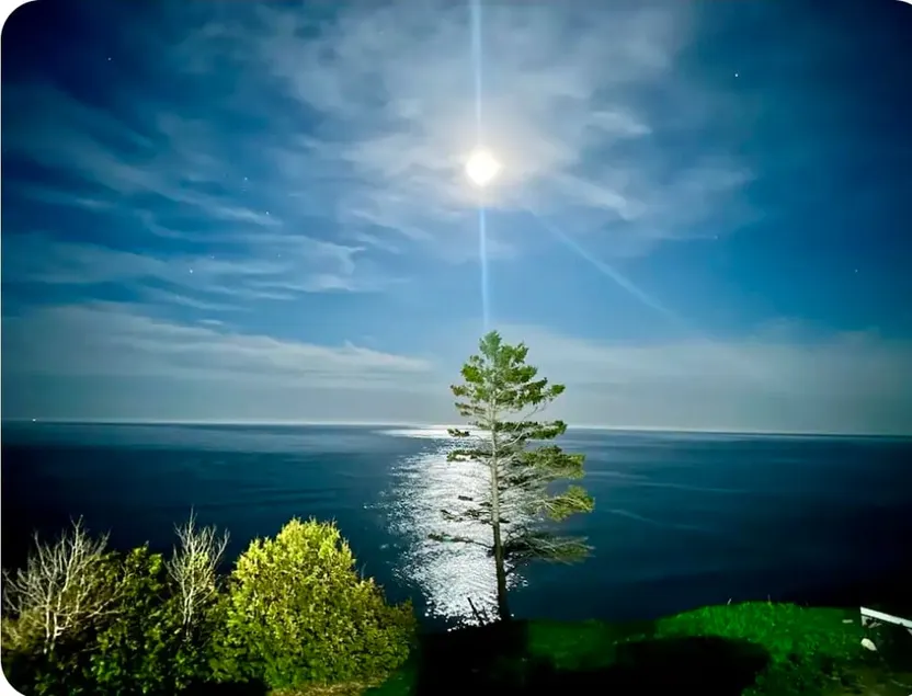 Cozy Modern Loft with Queen Bed and Sea View - Image 1