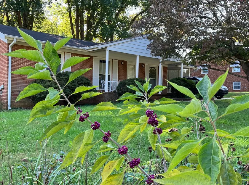 Cozy 3BR Retreat | Trails, Trees & Family‑Friendly - Image 1