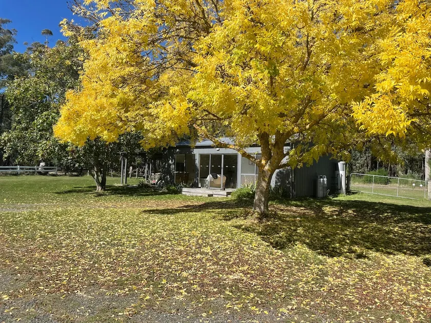 Guest House on a farm, Spring Hill - Image 1