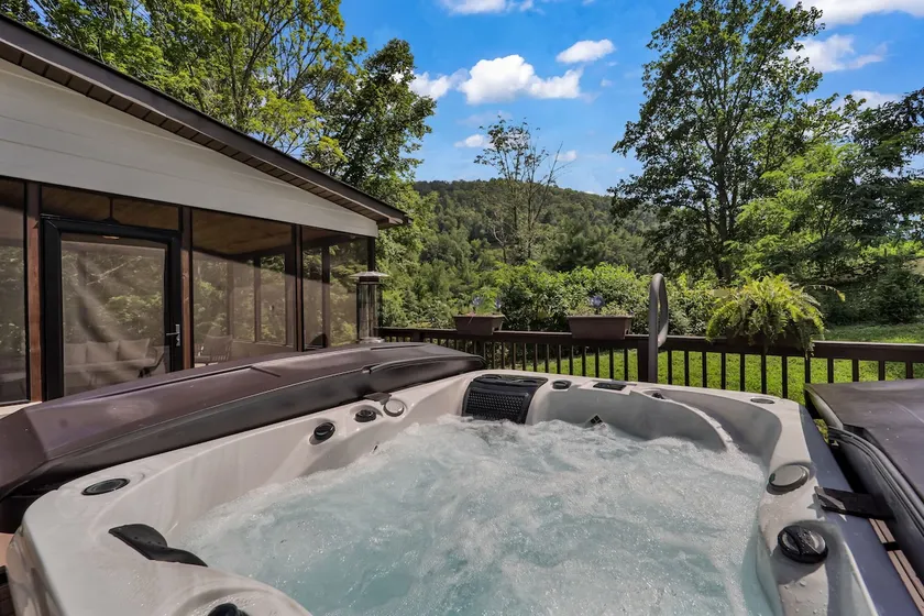 Romantic Private Cottage, Luxe Hot Tub, Blue Ridge - Image 1