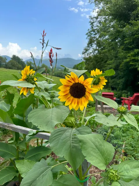 Peaceful-Mountains-Hiking-Asheville-Full Kitchen - Image 1