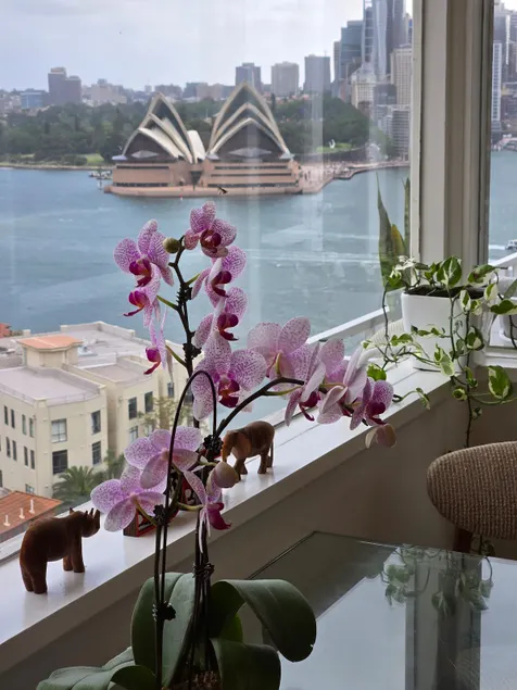 Opera House Harbour Penthouse 1B - Image 1