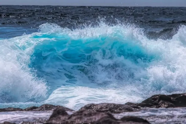 Seaside Shellharbour, 3 mins walk to beach, lake - Image 1