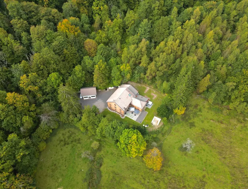 Chalet for 32 people · Swimming pool, spa & cinema · Vosges - Image 1