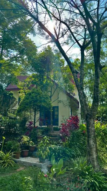 Silver Oaks Plantation Cottage - Image 1