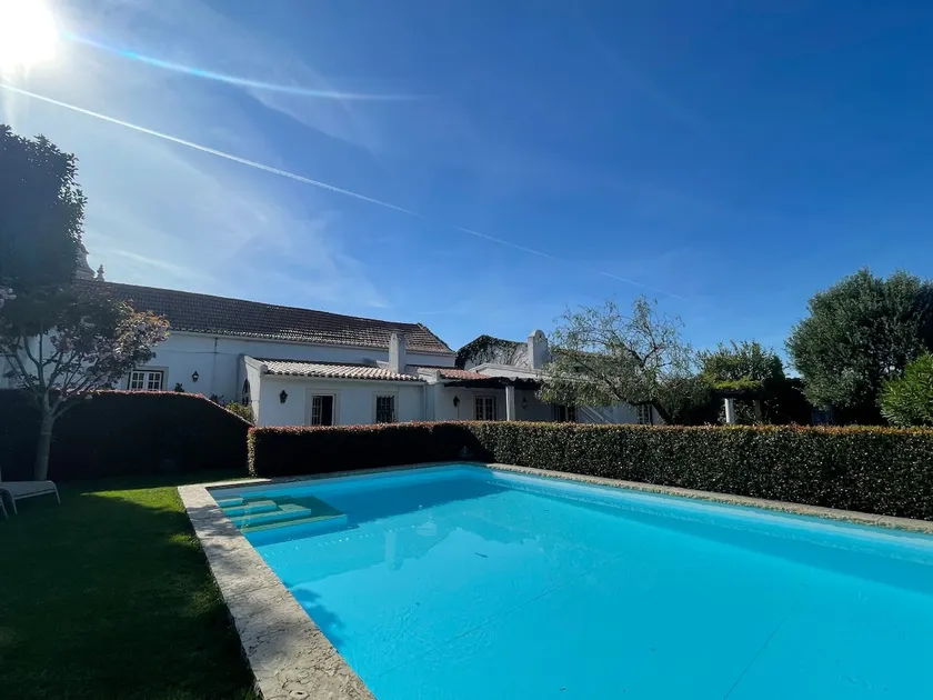 Paradise in the Village - Image 1