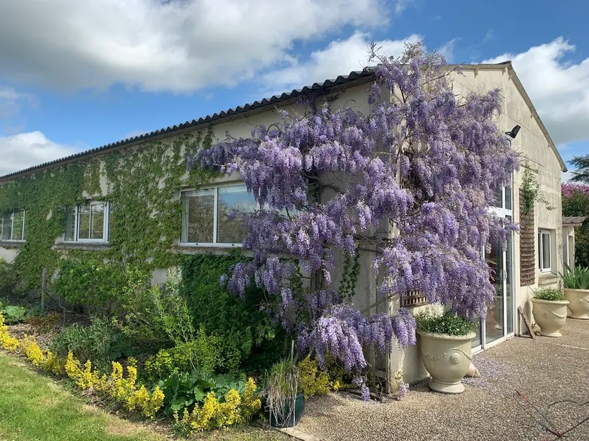 The Living Room – Au Fil du Loir 2 - Image 1